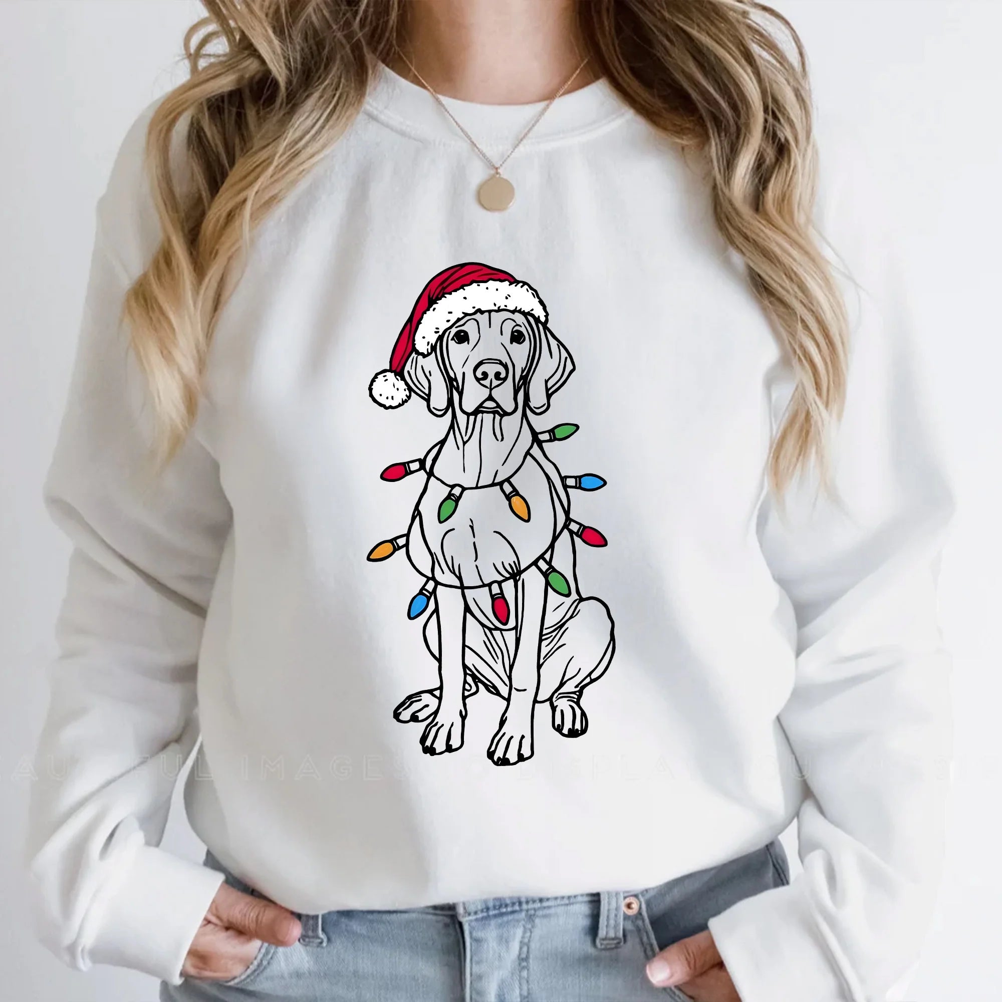 Vizsla Christmas Sweatshirt | Santa Vizsla Dog Sweater | Christmas Vizsla | Vizsla Lover Gift | Holiday Dog Sweater | Xmas Vizsla Sweatshirt