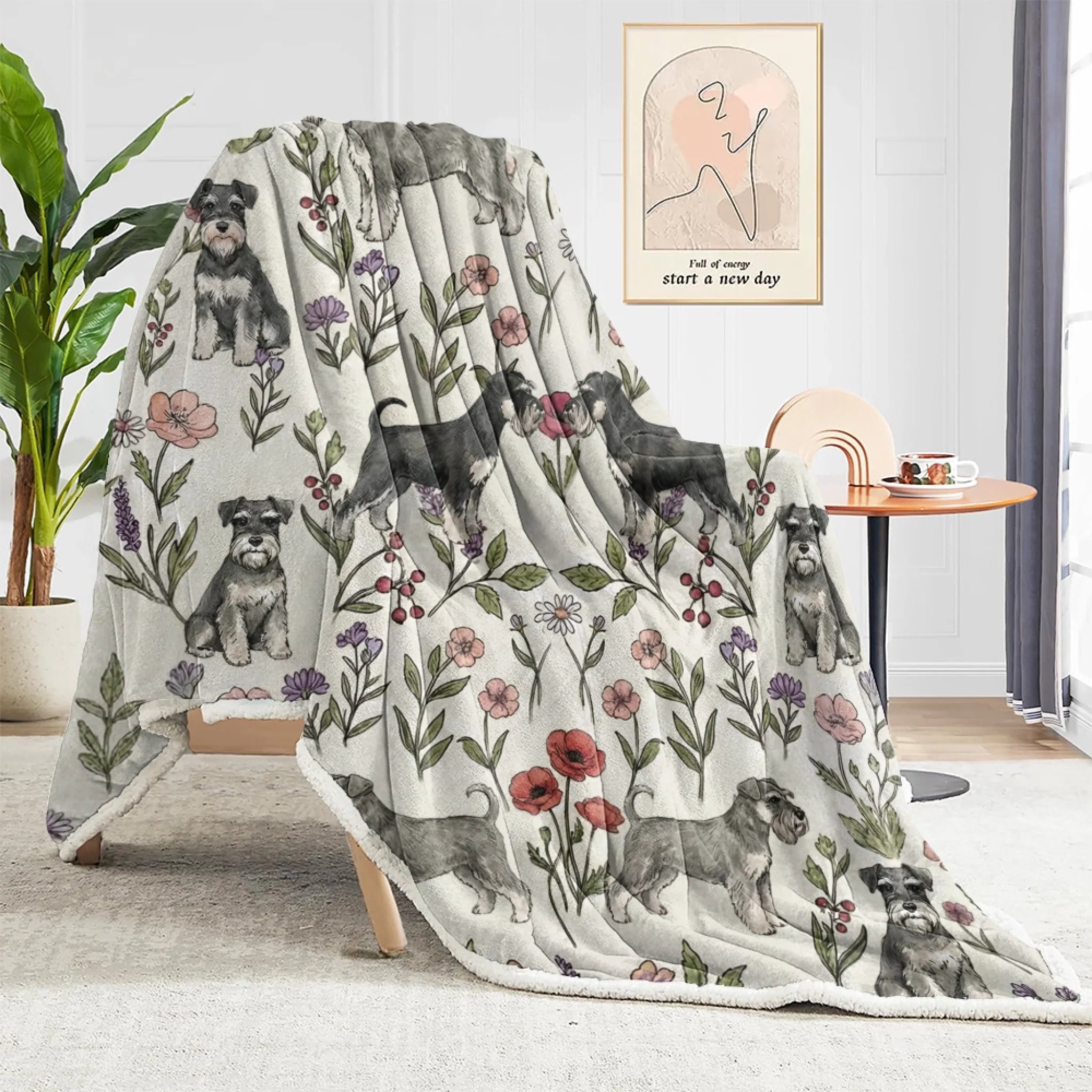 blanket (1)