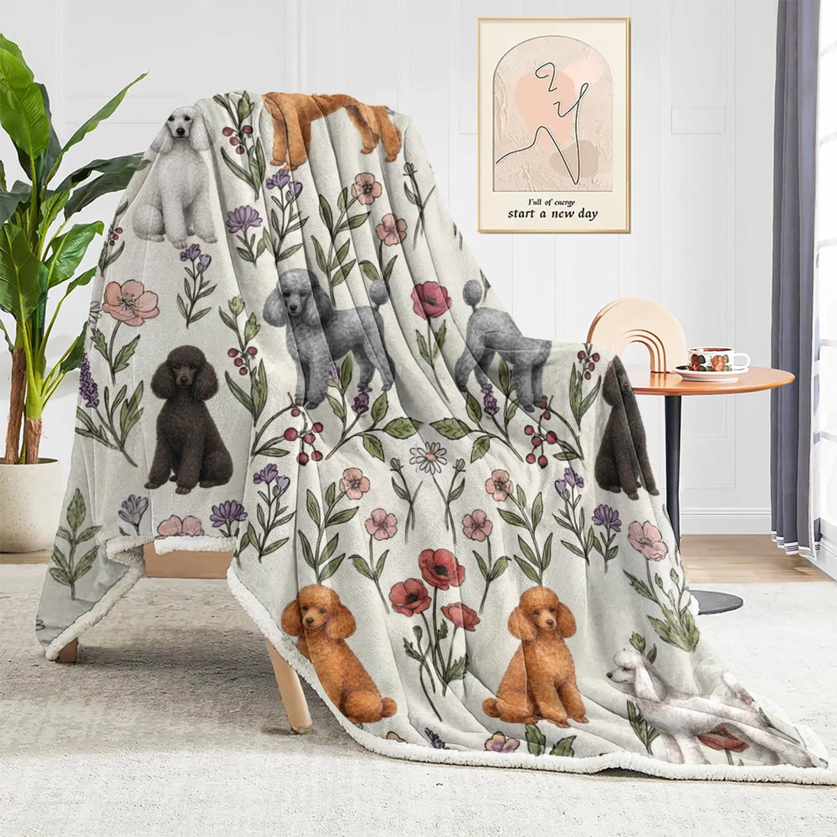 blanket (1)