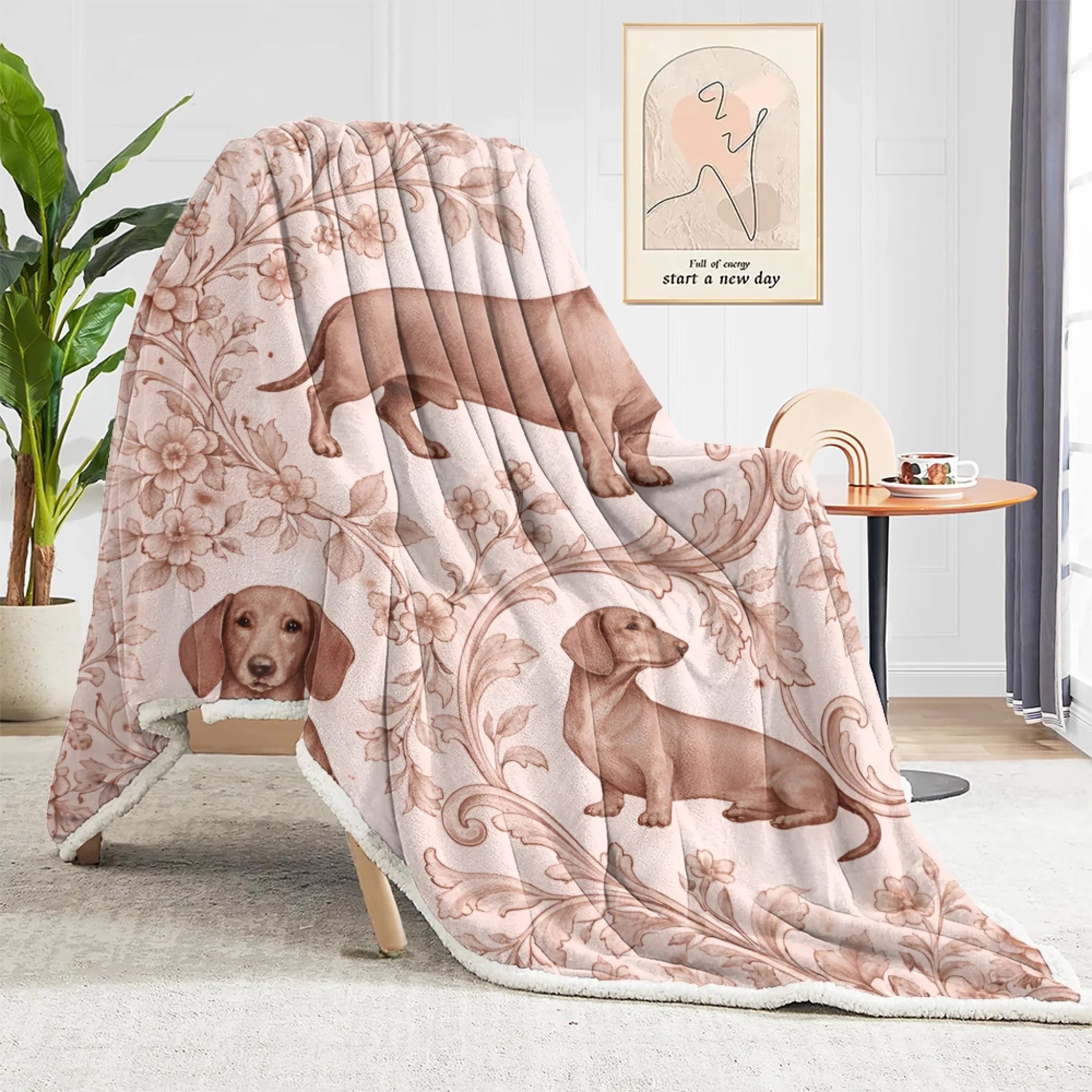 blanket (1)