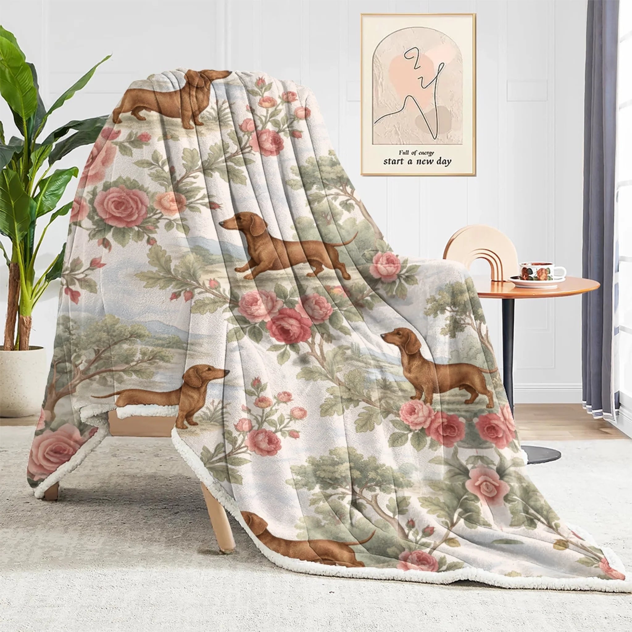 blanket (1)