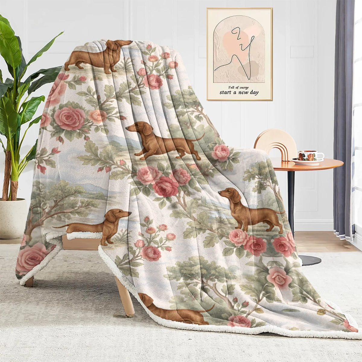 blanket (1)