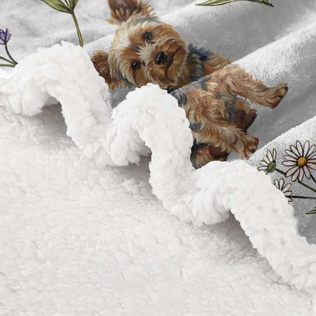 blanket (5)