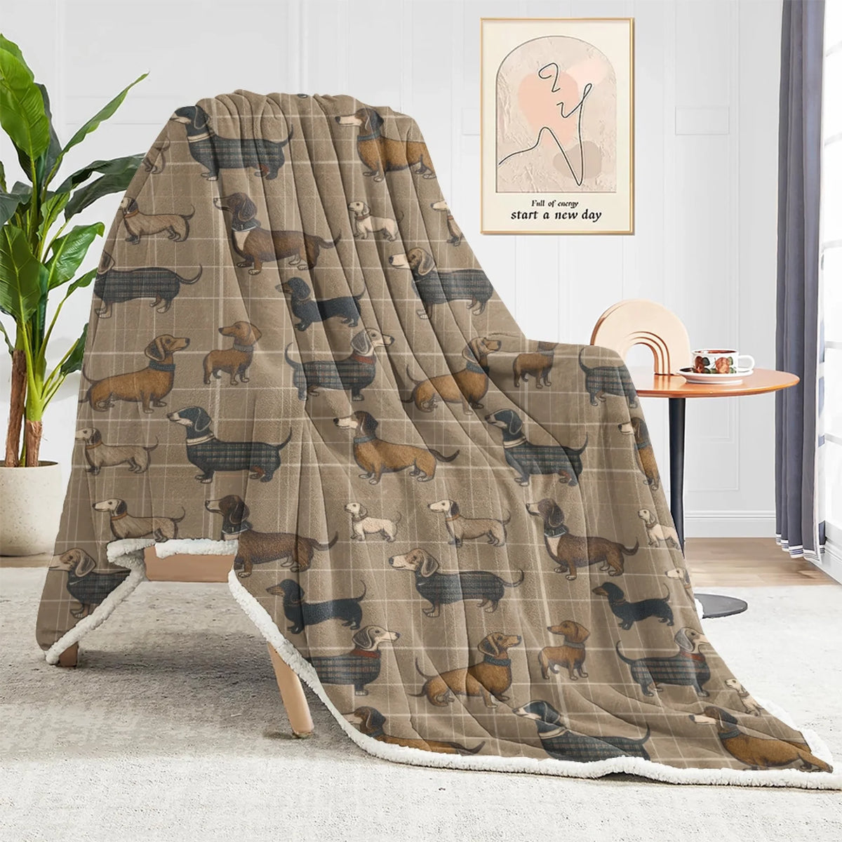 blanket (1)