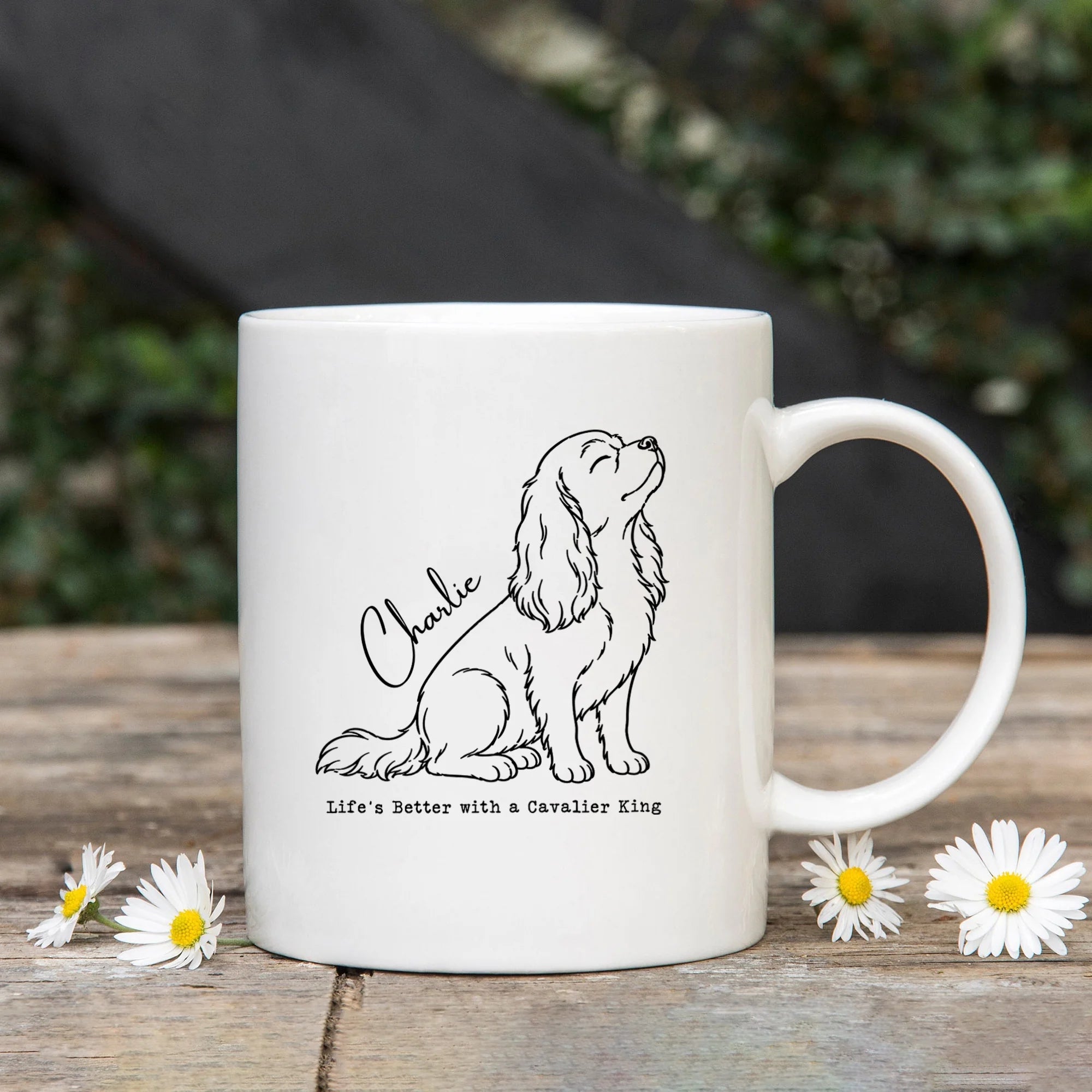 Custom Long Hair Dachshund Mug, Personalized Wiener Dog Coffee Cup