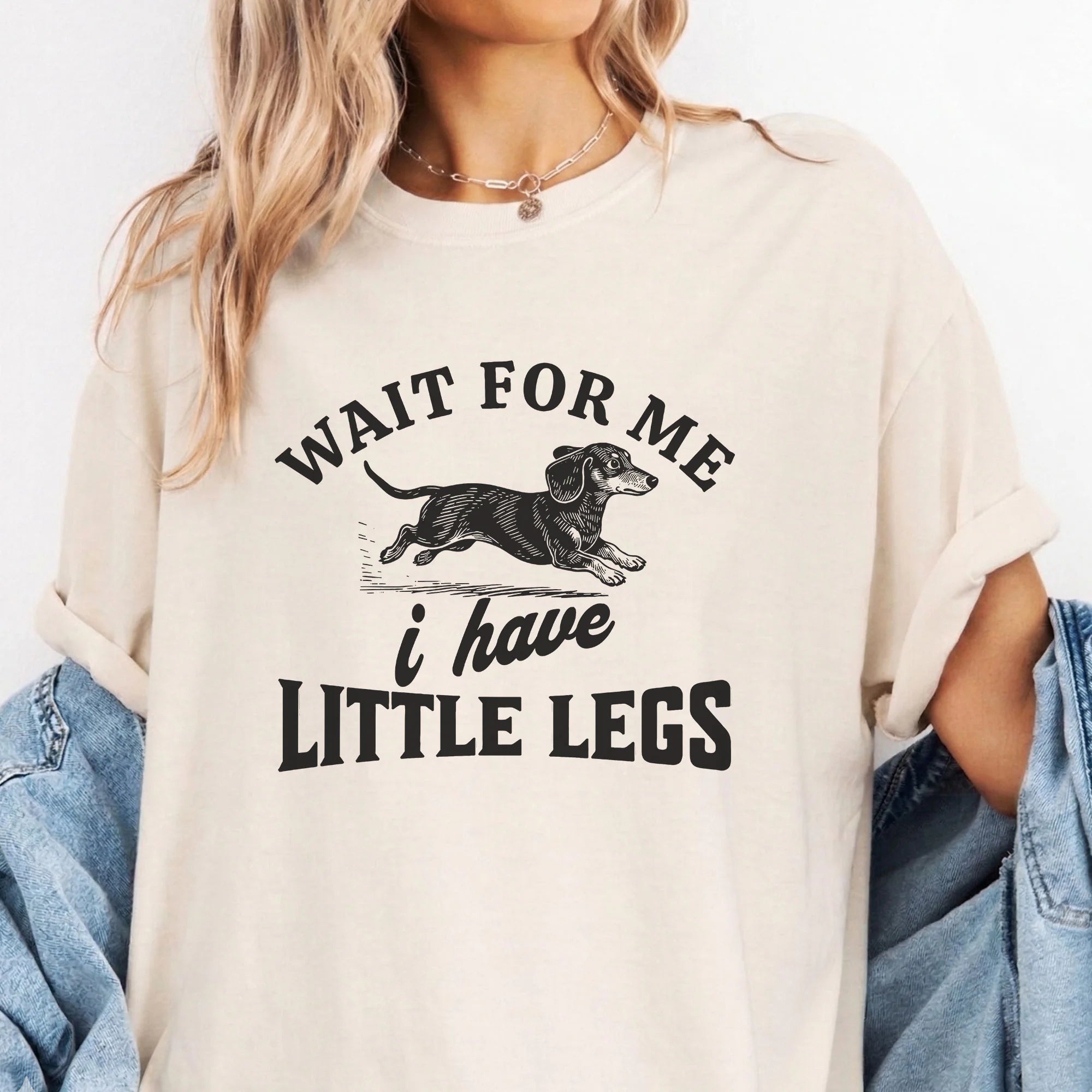 Little Legs Dachshund Shirt, Funny Wiener Dog Tee, Doxie Gift
