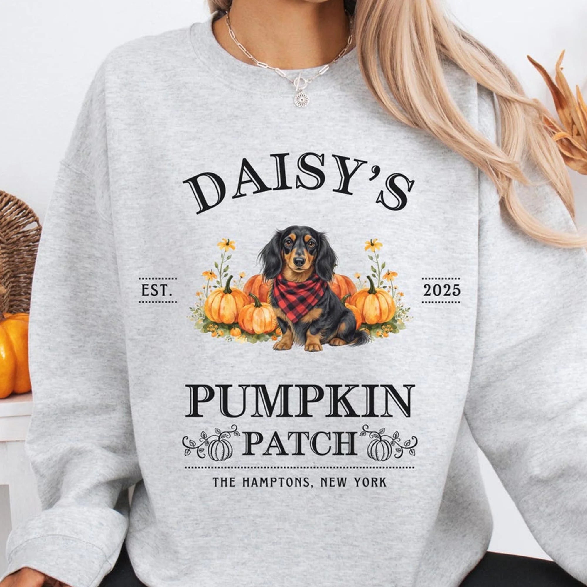 Long Haired Dachshund Shirt, Halloween Doxie Sweatshirt, Wiener Dog Crewneck