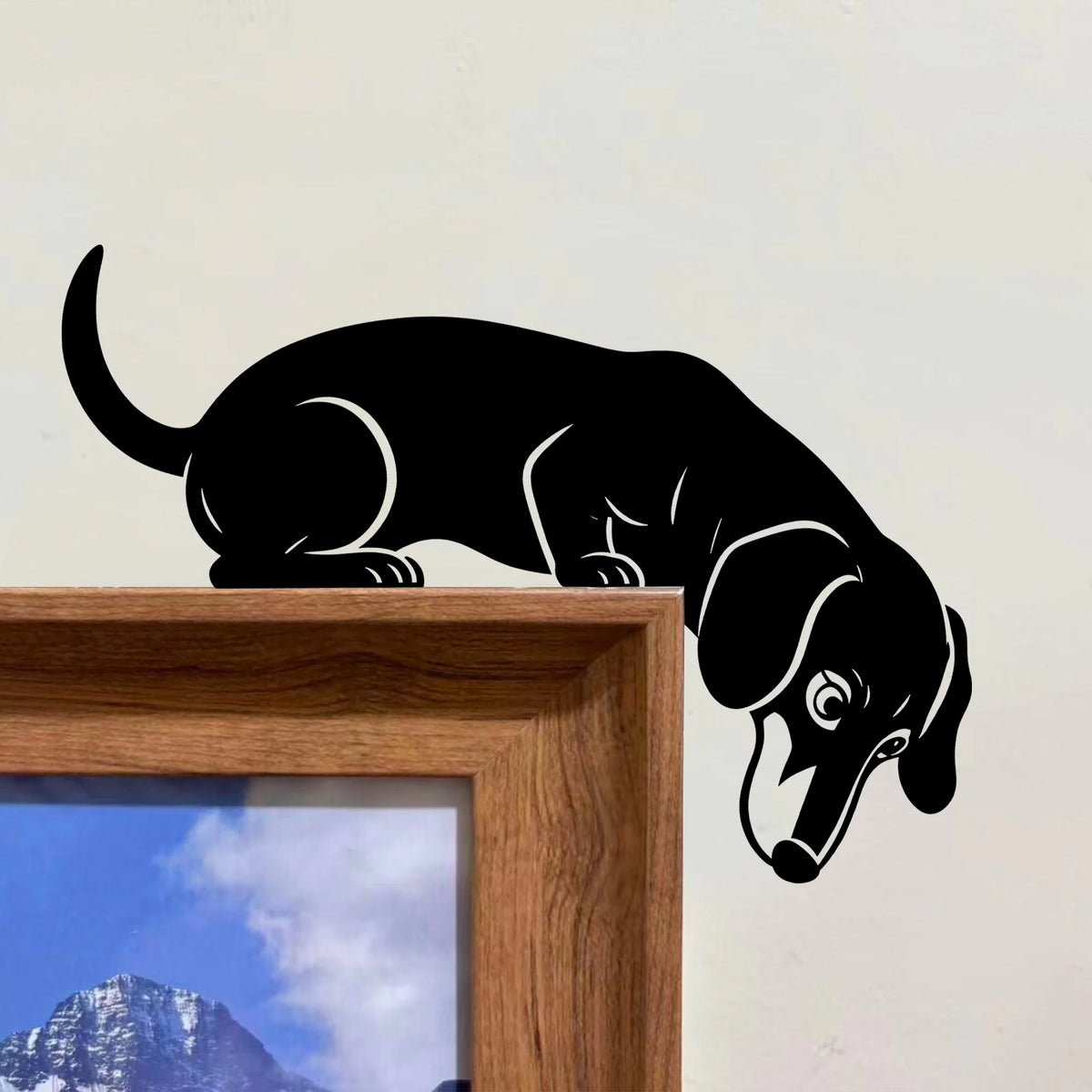 Curious Dachshund Metal Door Topper
