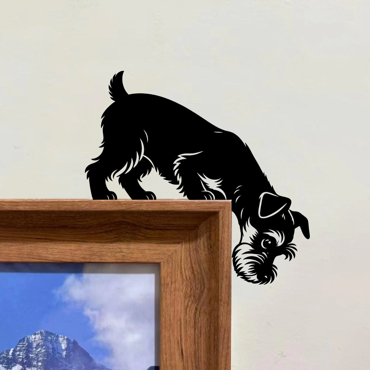 Curious Miniature Schnauzer Metal Door Topper