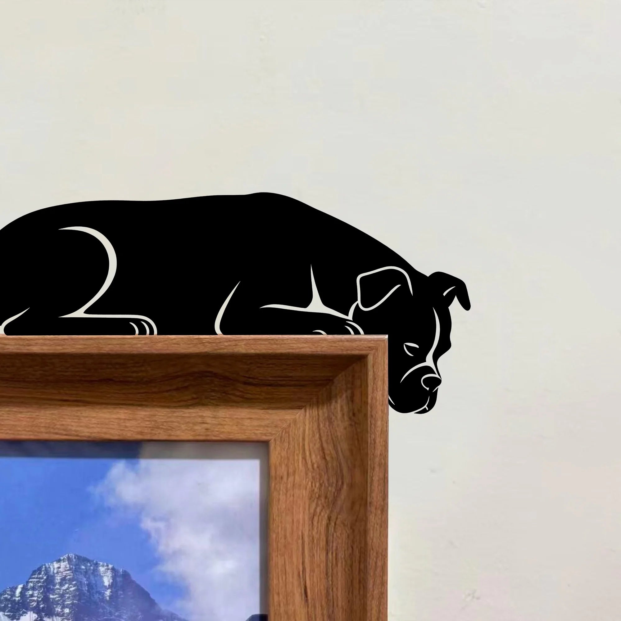 Boxer Metal Door Topper