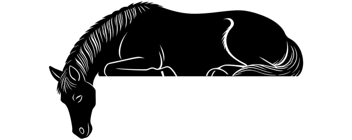 5.91 × 2