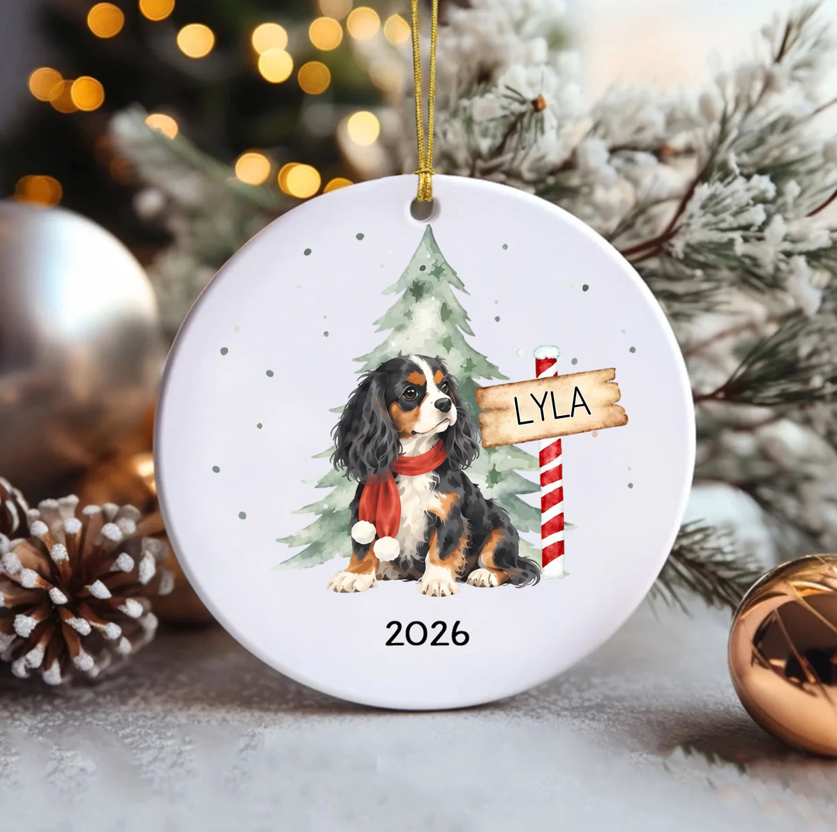 Ceramic Circle Ornament (1)
