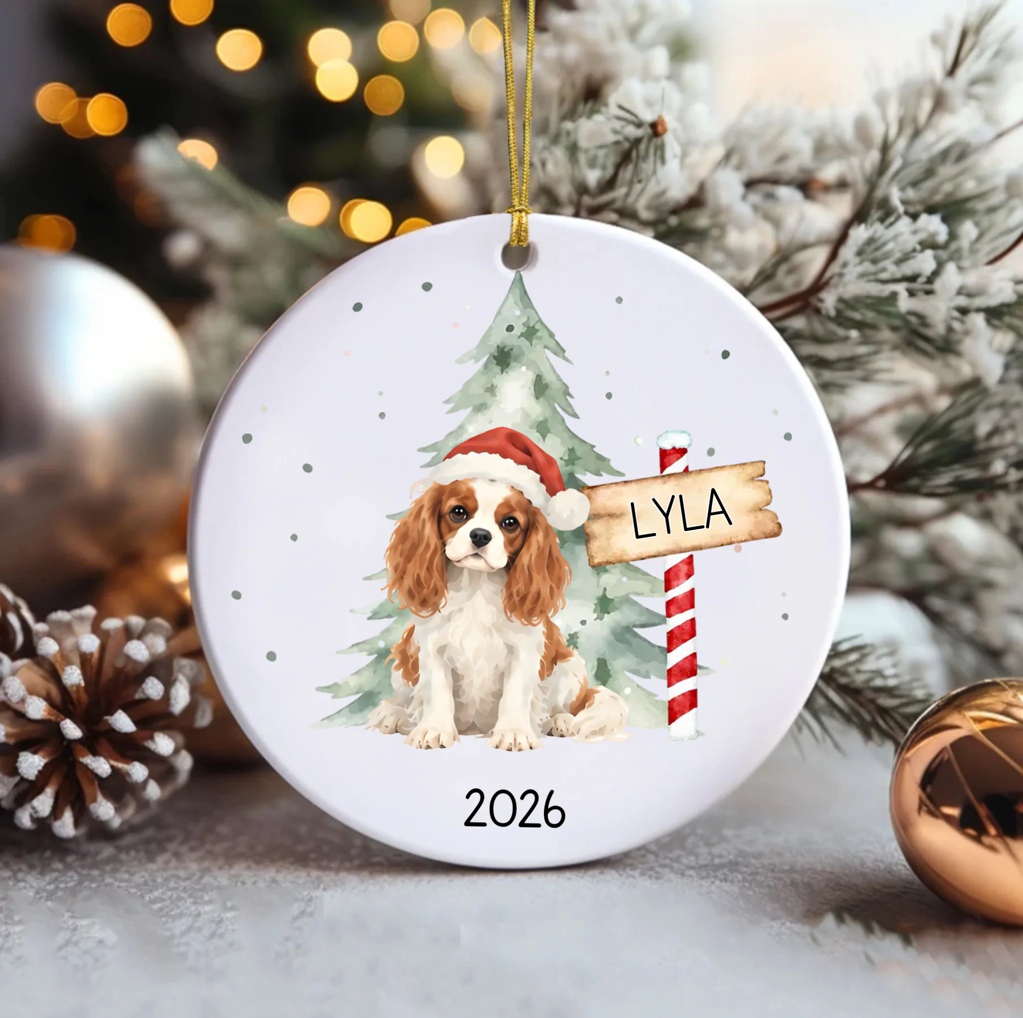 Ceramic Circle Ornament (1)