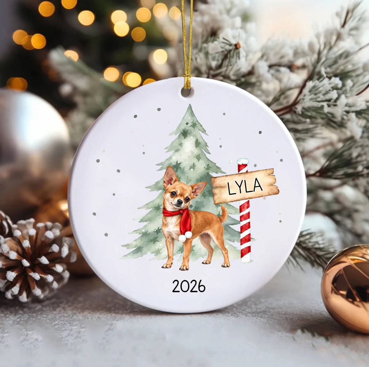 Ceramic Circle Ornament (1)