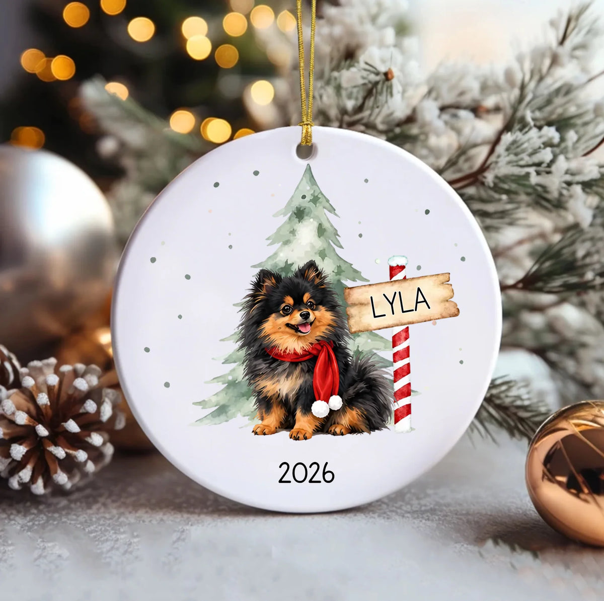 Ceramic Circle Ornament (1)