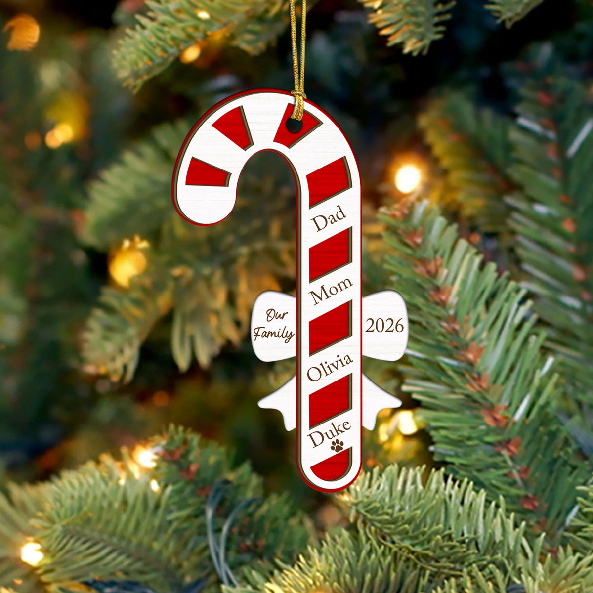 Family Christmas Ornament, 2026 Personalized Holiday Ornament for Families